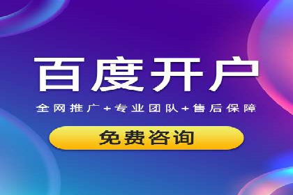 SEM代运营机构成功案例：优化策略与效果分析